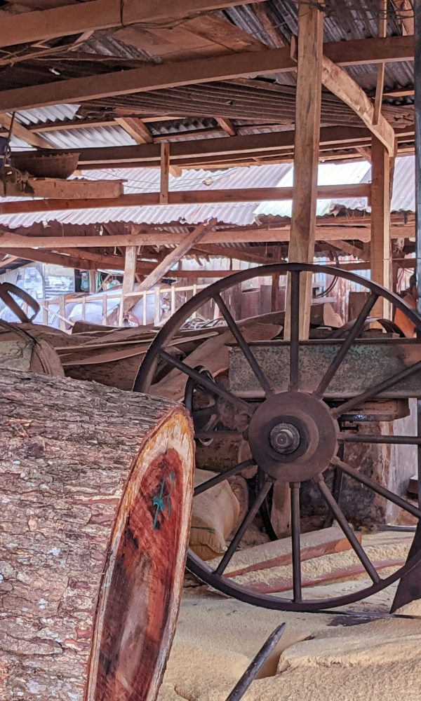 Precision Timber Processing. Trusted Quality. Pan-India Supply